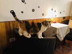 -隅cafe(傅厚岗店)