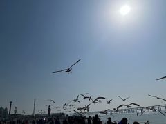 -星海广场