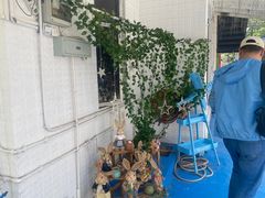 -西涌国际滨海旅游区