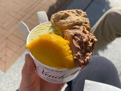 意大利手工冰淇淋-VENCHI 闻绮(上海佛罗伦萨小镇店)