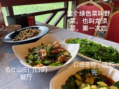 -大新明仕山庄