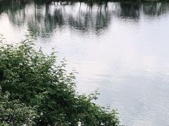 -婺源月亮湾
