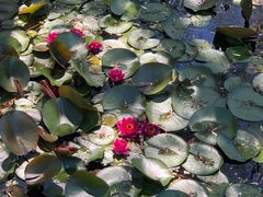 -南戴河国际娱乐中心