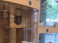 -PETKIT 小佩宠物·低压洗护·美容·寄养(安远店)