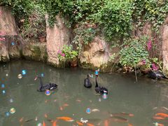 -第五季龙水凤港生态露营农场