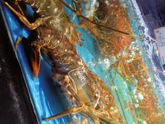 -徐记海鲜(大雁塔|金都店)