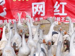 -辛庄国际文化艺术区