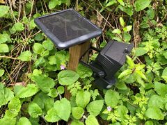 -怀托摩萤火虫洞