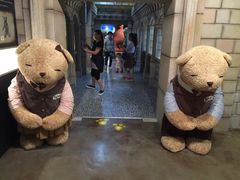 -济州岛泰迪熊博物馆