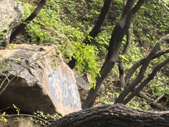 -香山公园