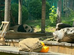 -大连森林动物园
