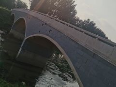 -东郊湿地公园