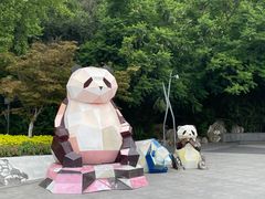 -成都大熊猫繁育研究基地