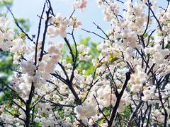 -观澜湖手艺工场·陶艺·吹玻璃·拼豆