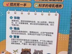 -全心全意连锁动物医院·微创中心·内科急重症·心脏专科(丰管路店)