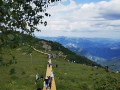 -白草畔自然风景区