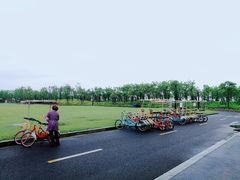 -春花秋色城市公园