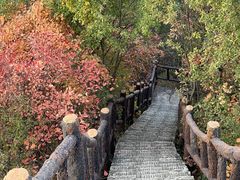 -秦岭终南山世界地质公园翠华山景区