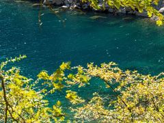 -叠溪松坪沟景区