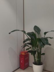 -禾丽康美医疗美容医院