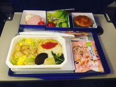 -全日本空输株式会社(上海办事处)