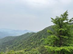 -北仑森林植物园