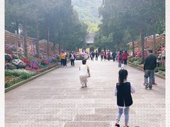 -无锡惠山寺