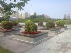 -群力丁香公园