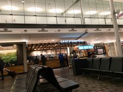 -蒙特利尔皮埃尔·埃利奥特·特鲁多国际机场