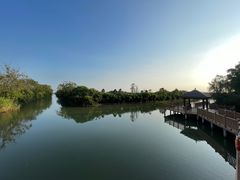 -大湾区中央湿地公园