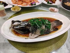 清蒸老虎斑鱼-四海之家(蛇口店)