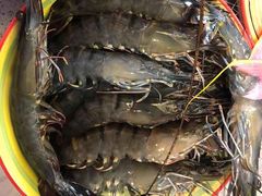 -鸿港海鲜批发市场