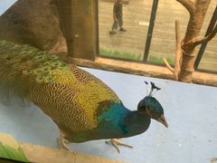 -洛阳龙门海洋馆