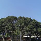 快乐儿童岛