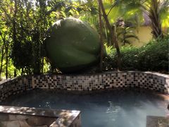 -三亚珠江南田温泉度假区