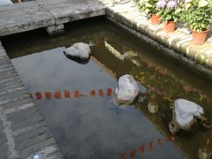 -茯茶镇