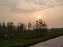 -湖南东洞庭湖国家级自然保护区