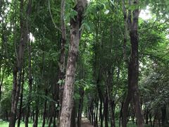 -洛阳市隋唐城遗址植物园