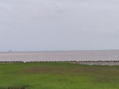 -南汇嘴观海公园