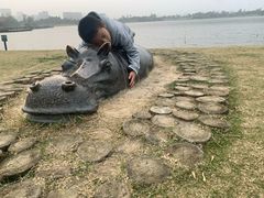 -桐乡凤凰湖