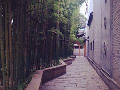 -龙潭水乡