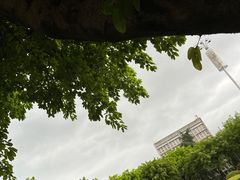 -西南政法大学(沙坪坝校区)