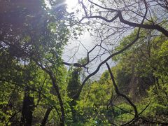 -沣峪森林公园龙潭戏水景区