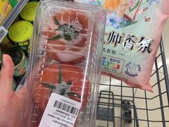 -AEON永旺(东方宝泰店)