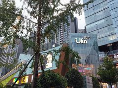 -合景·悠方(成都店)