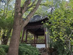 -汇龙潭