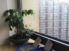 -不正咖啡(万达尊店)
