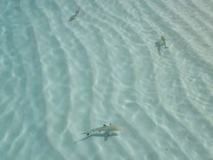 -中央格兰德岛温泉度假酒店 - 全包