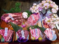 -樱宿日式和牛烧肉(五道口店)