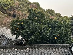 -杭州半山国家森林公园